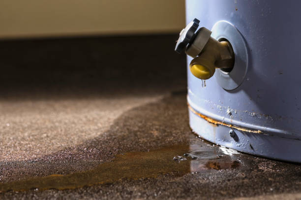 Best Basement water damage restoration  in Daniel, UT