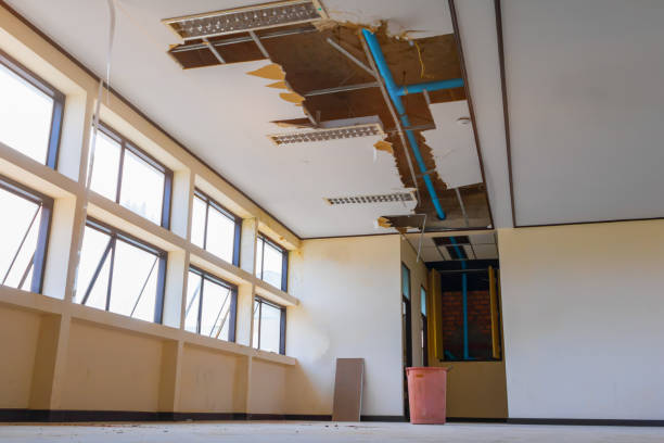 Best Local water damage restoration  in Daniel, UT