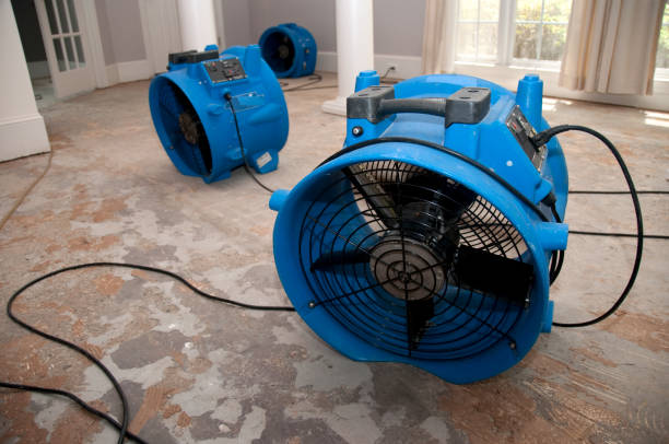 Best Local water damage restoration  in Daniel, UT