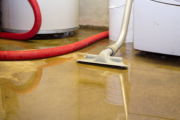 Best Flood restoration services  in Daniel, UT
