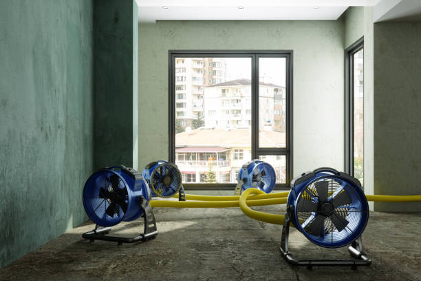 Best Water damage cleanup near me  in Daniel, UT